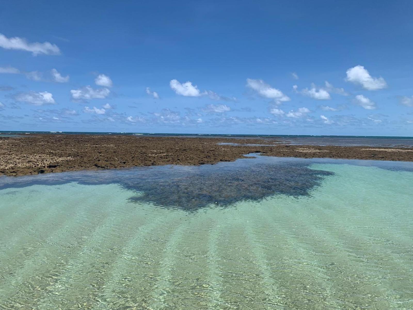 Maui Beach Residence Tamandaré エクステリア 写真